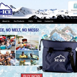 NU-ICE